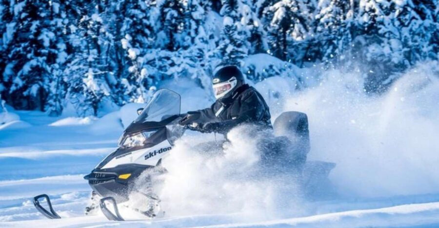 North Pole Alaska: Guided Fairbanks Snowmobile Tour - North Pole, Alaska: The Snowmobile Ride That Still Feels Wild