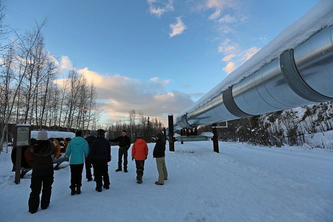Northern Lights and Arctic Circle Trip from Fairbanks - The Real Charm: A Day That Turns Into Night