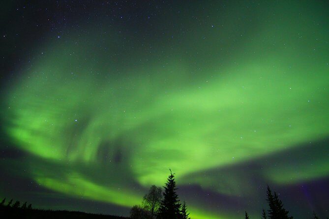 Northern Lights and Arctic Circle Trip from Fairbanks - Crossing the Arctic Circle: The Certificate Moment