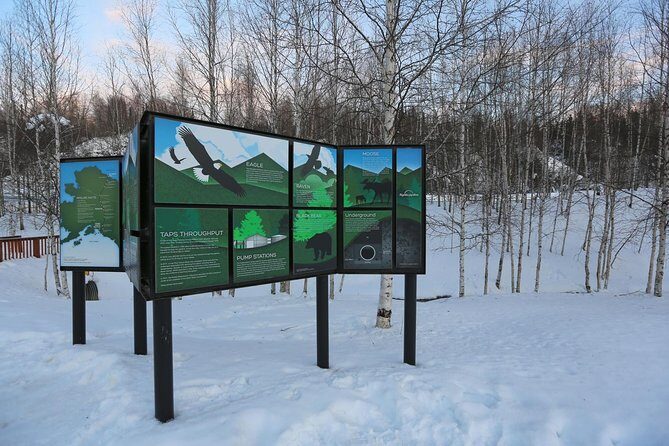 Northern Lights and Arctic Circle Trip from Fairbanks - Aurora Borealis: What You Can Control and What You Can’t
