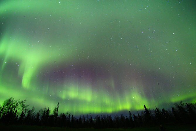 Northern Lights and Arctic Circle Trip from Fairbanks - Guides Are the Product: Humor, Storytelling, and Aurora Chasing