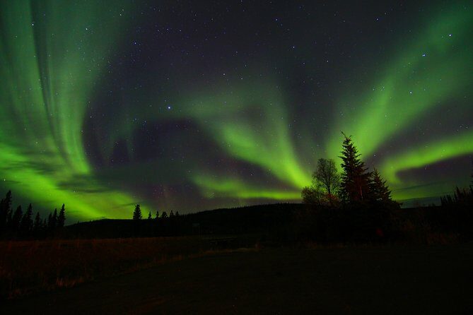 Northern Lights and Chena Hot Springs Night Tour from Fairbanks - Chena Ice Museum at 7:00 pm: a fast wow with built-in downtime