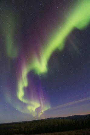 Northern Lights and Chena Hot Springs Night Tour from Fairbanks - Dinner Plans: what’s not included (and how to avoid a ruined evening)