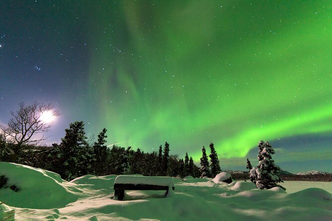 Northern Lights & Arctic Circle Tour - The Dalton Highway drive: why this tour feels different in winter
