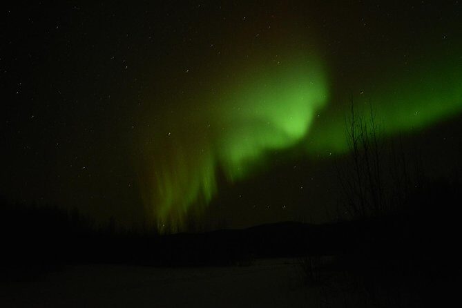 Northern Lights & Arctic Circle Tour - Small-group comfort: van size, seat rotation, and why the road is the real boss