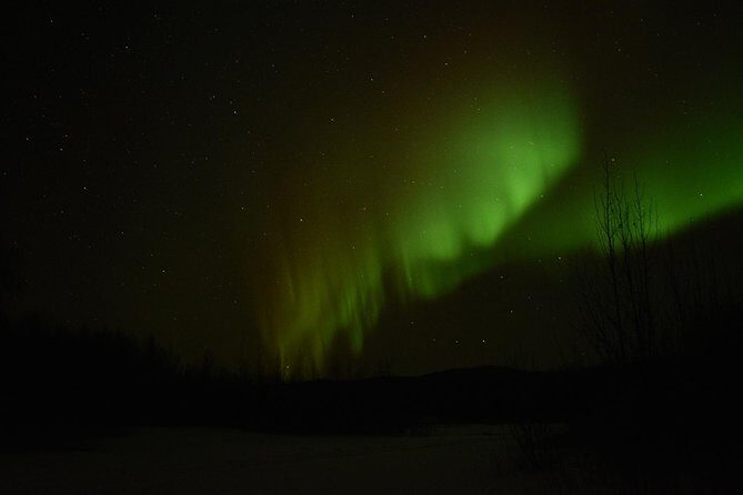 Northern Lights & Arctic Circle Tour - Price and value: is $330 a fair deal?