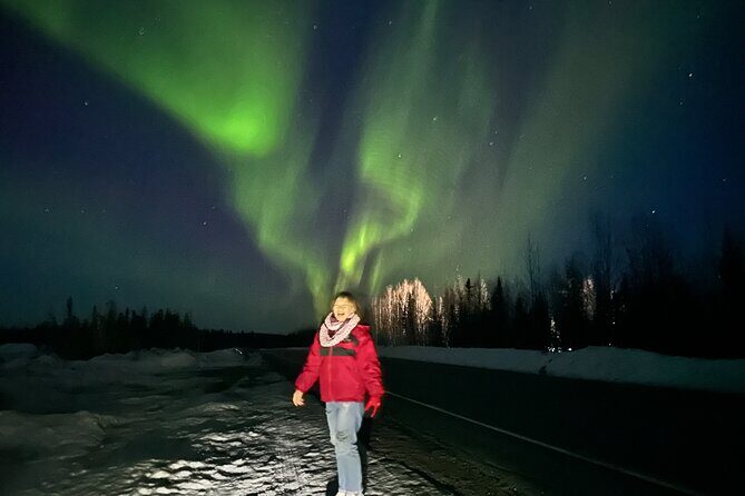 Northern Lights at Chena Hot Springs - Who this tour suits best (and who should skip it)