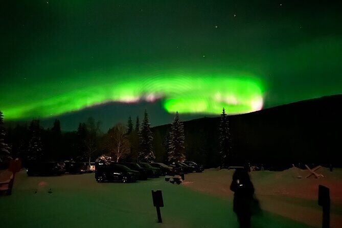 Northern Lights at Chena Hot Springs - Price and value: why $200 feels fair here