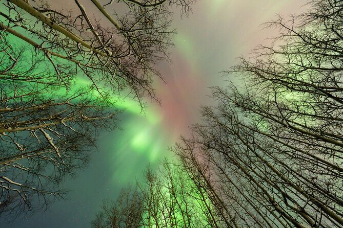 Northern Lights Aurora Chasing Adventure Tour & Free Photography - The Van, the Viewing Rhythm, and Guide Watchfulness