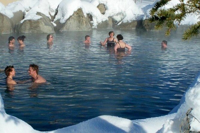 Northern Lights & Chena Hot Springs Tour - Dinner and the included standing reservation: what it means, and how to manage your schedule
