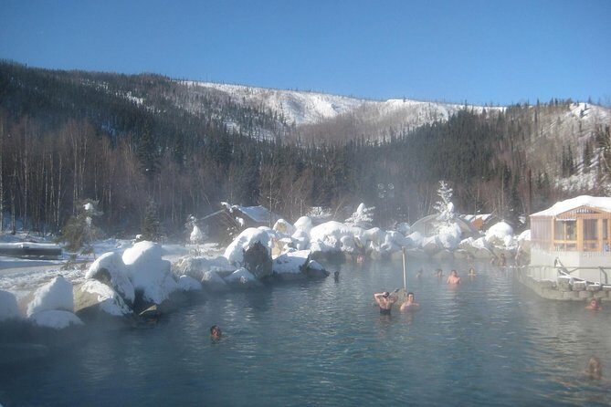 Northern Lights & Chena Hot Springs Tour - Who this tour fits best (and who might want a different plan)