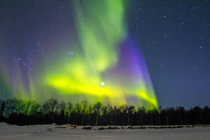 Northern Lights & Chena Hot Springs Tour - Should you book? My straight answer