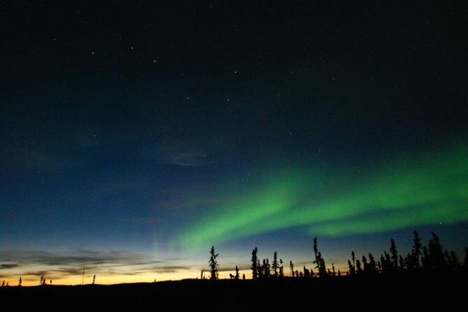 Northern Lights Experience and Cabin Dinner - Key Things to Know Before You Go