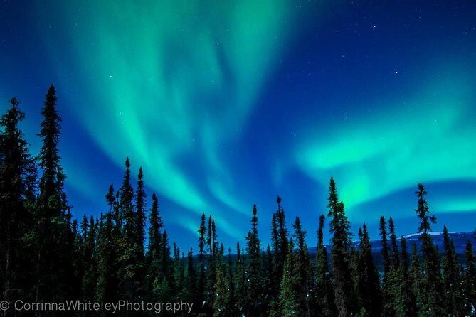 Northern Lights Experience and Cabin Dinner - Entering The Aurora Routine: How This 5-Hour Night Flows
