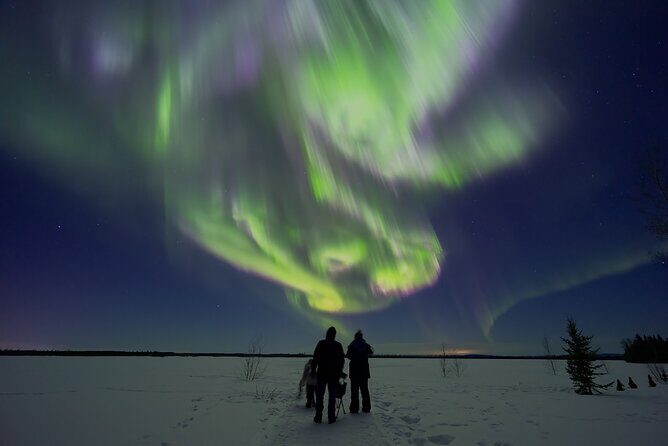 Northern Lights Lodge & Chase Tour from Fairbanks - Key things I’d watch for