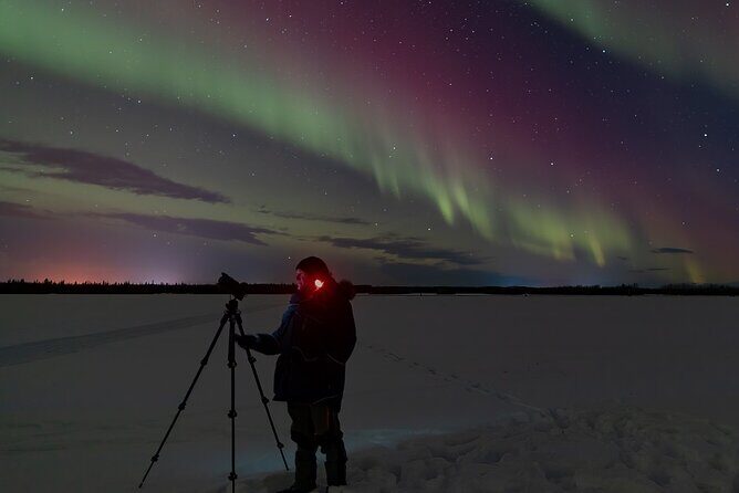 Northern Lights Lodge & Chase Tour from Fairbanks - Who This Tour Suits Best (and Who Might Want Something Else)