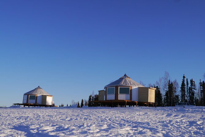 Northern Lights Lodge Viewing in Fairbanks - Key highlights to know before you go