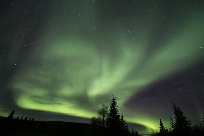 Northern Lights Murphy Dome Viewing in Fairbanks - The guide: science talk, patience, and photo help that actually matters