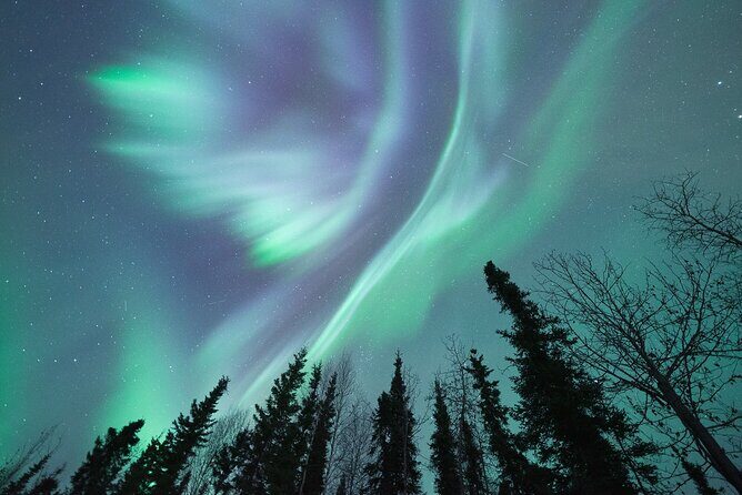 Northern Lights Viewing at Murphy Dome - Murphy Dome: why this radar-station hill helps your aurora chances