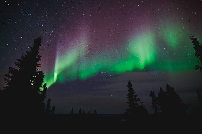 Northern Lights Viewing at Murphy Dome - Who should book this Murphy Dome tour?