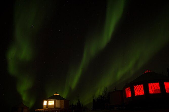 Northern Lights Viewing including Dinner and Dog Sledding - Dog sledding in the Alaskan winter: what the ride actually gives you