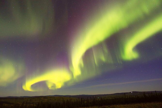 Northern Lights Viewing including Dinner and Dog Sledding - Northern lights: plan for uncertainty, not disappointment