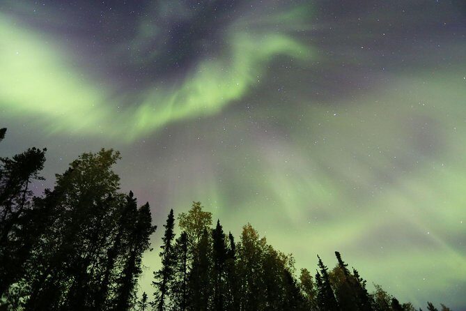 Northern Lights Viewing including Dinner and Dog Sledding - Murphy Dome viewing: warm shelter with real sky access