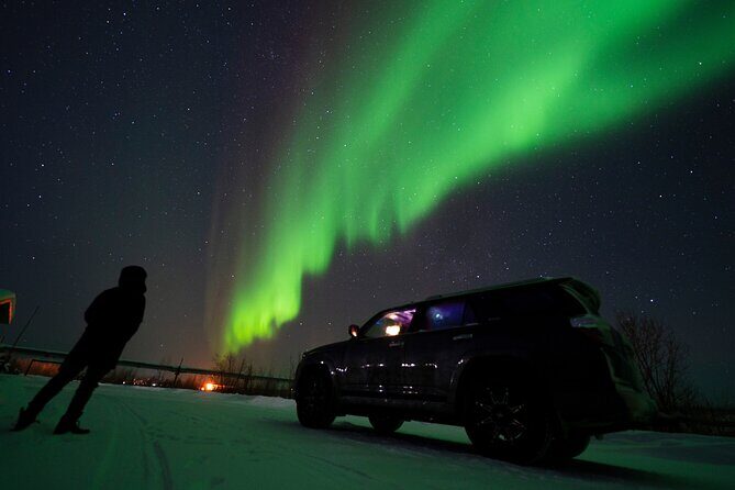 Private Arctic Circle Expedition from Fairbanks - Quick hits before you head north