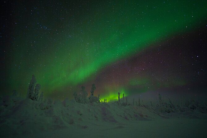 Private Arctic Circle Expedition from Fairbanks - Timing and aurora strategy on the return to Fairbanks