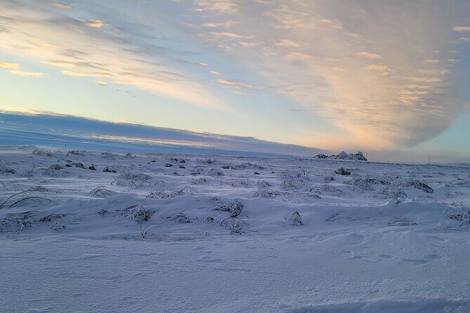 Private Arctic Circle Expedition from Fairbanks - Pickup, duration, and what “10 to 12 hours” feels like
