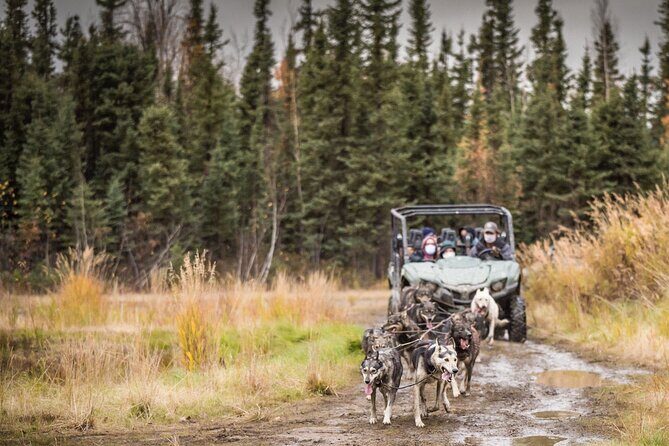 Private Fall Foliage Mushing Cart Ride in Fairbanks - Private dog mushing cart ride in Fairbanks: what makes it special