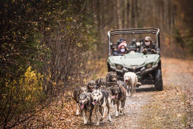 Private Fall Foliage Mushing Cart Ride in Fairbanks - What to wear: your best odds for staying warm and seeing clearly