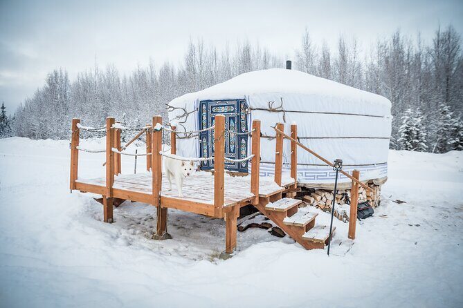 Private Guided Dog Sledding on the Historic Yukon Quest Trail - Entering the Mongolian Yurt: Warm Start, Real Set-Up