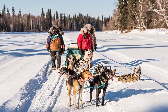 Private Guided Dog Sledding on the Historic Yukon Quest Trail - The Halfway Frozen Pond Stop: Photos, Warm Wind, and Dog Breaks