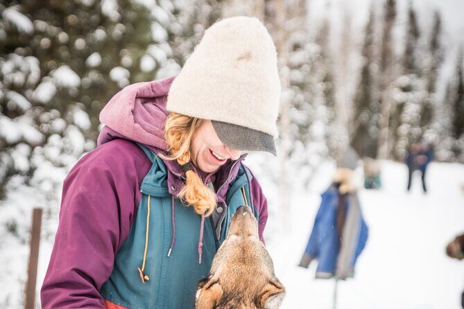 Private Guided Dog Sledding on the Historic Yukon Quest Trail - Warmth on the Return: Back to the Yurt and Frost Melting