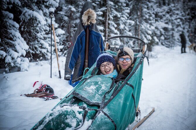 Private Guided Dog Sledding on the Historic Yukon Quest Trail - Price and Value: Is $200 Worth a Private 7-Mile Run?