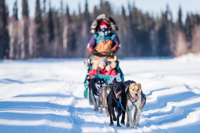 Private Guided Dog Sledding on the Historic Yukon Quest Trail - Who This Private Dog Sledding Tour Fits Best