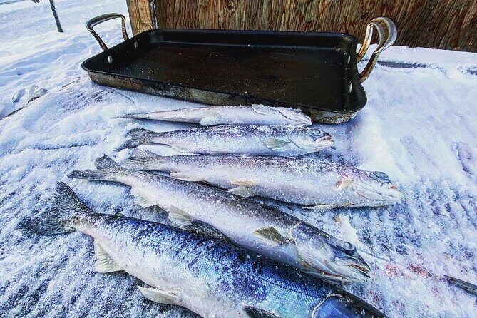 Quick and Easy Ice Fishing at Chena Lake - The Underwater Camera Question (And How to Handle It)