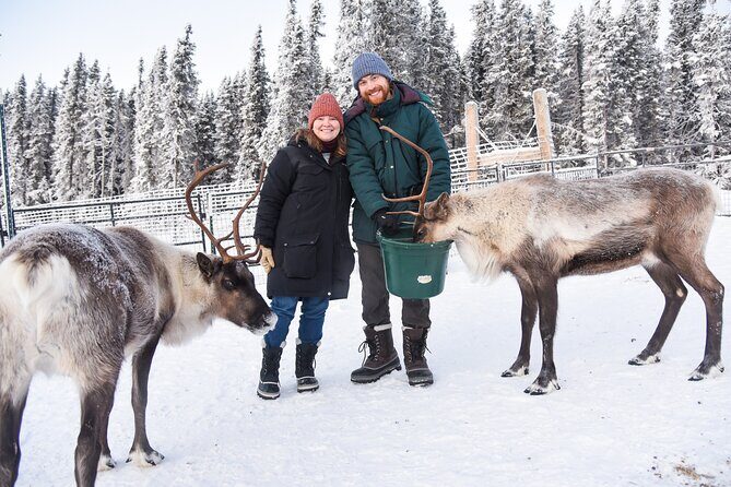 Reindeer and Heli Flightseeing Day Trip with Lunch - Key Things That Make This Day Trip Worth It
