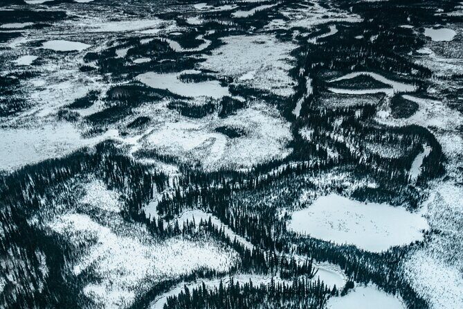 Reindeer and Heli Flightseeing Day Trip with Lunch - Filling the Gaps: Complimentary Activities While You Wait
