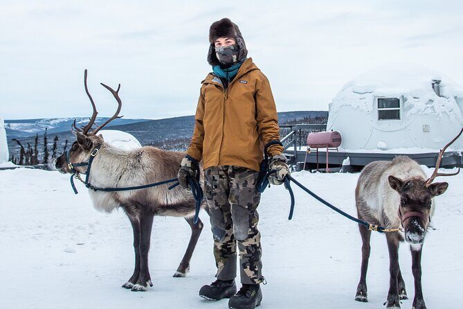 Reindeer and Heli Flightseeing Day Trip with Lunch - Who Should Book This (And Who Should Skip It)