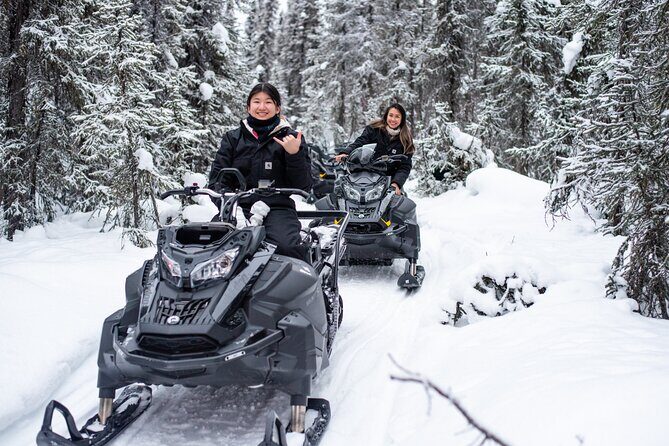 Reindeer and Snowmobile Day Trip to Borealis Basecamp with Lunch - Key Things to Know Before You Go