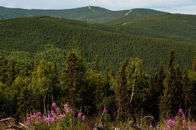 Side by Side Morning Tour - What you’ll actually do on the ride (more than just sitting there)
