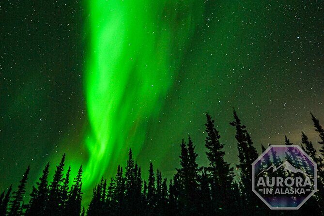 SkyChase™ | Northern Lights Experience - Free Photography & More - Guides Who Know the Sky and Your Camera