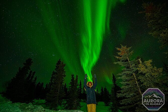 SkyChase™ | Northern Lights Experience - Free Photography & More - Comfort vs. Conditions: The One Drawback to Watch