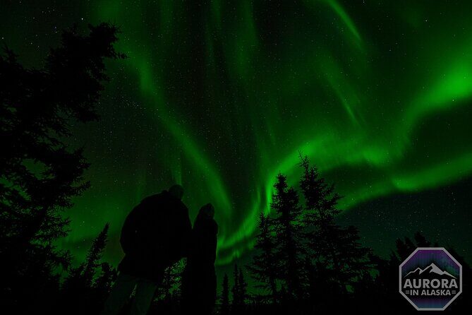 SkyChase™ | Northern Lights Experience - Free Photography & More - How SkyChase Plans the Night From Fairbanks
