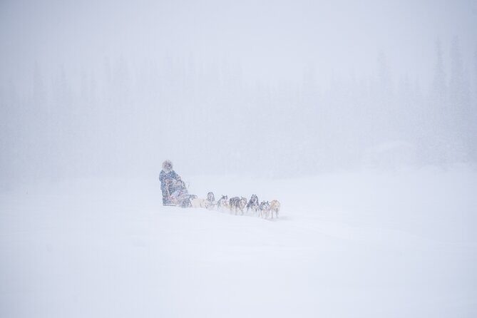 Sled Dog Sampler Ride in Fairbanks - Getting Warm Before You Go: Trail Breaker Kennel’s Pre-Ride Setup