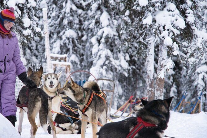 Sledding and Homesteading Adventure - Key things to know before you go