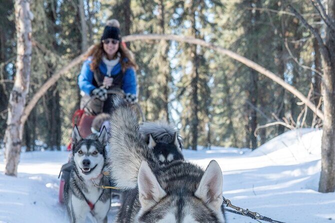 Sledding and Homesteading Adventure - Your start point in Fairbanks: getting to 885 Deraco Ln without stress