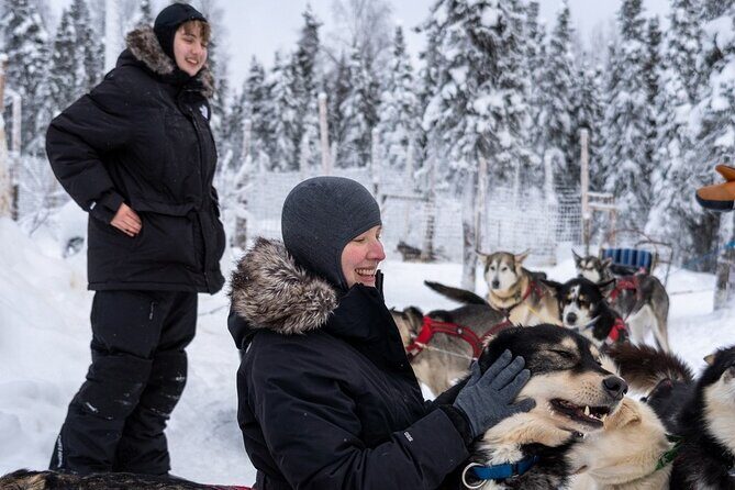 Sledding and Homesteading Adventure - Warming up the smart way: the heated tent and hot drinks